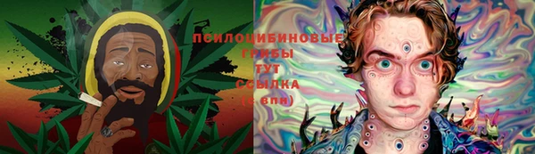PSILOCYBIN Алексин