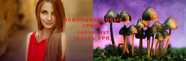 PSILOCYBIN Алексин