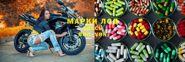 PSILOCYBIN Алексин