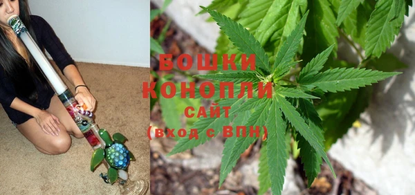 PSILOCYBIN Алексин