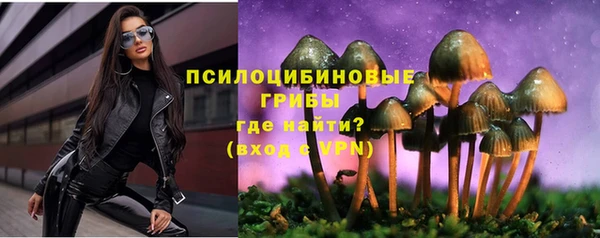 PSILOCYBIN Алексин