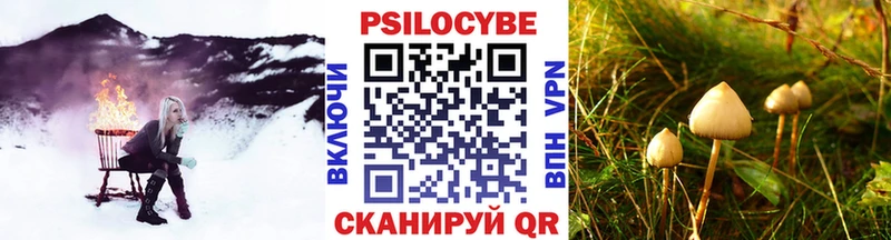 Псилоцибиновые грибы MAGIC MUSHROOMS  Купить где  Солнечногорск 