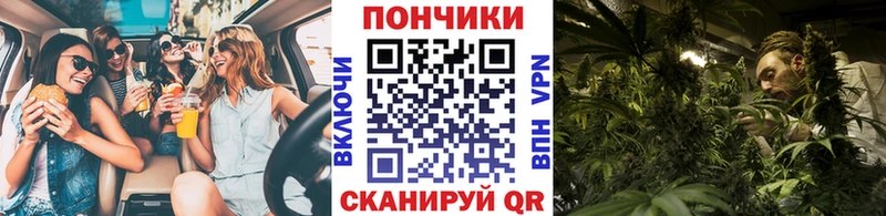 Шишки марихуана OG Kush  Купить закладки  Солнечногорск 
